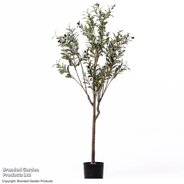 172cm Faux Olive Tree Tree in Planter | Wayfair UK