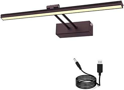 Amazon.com: RAIFOOLLY Picture Lights for Paintings,Wireless Picture Light with Brightness Dimmabl... | Amazon (US)
