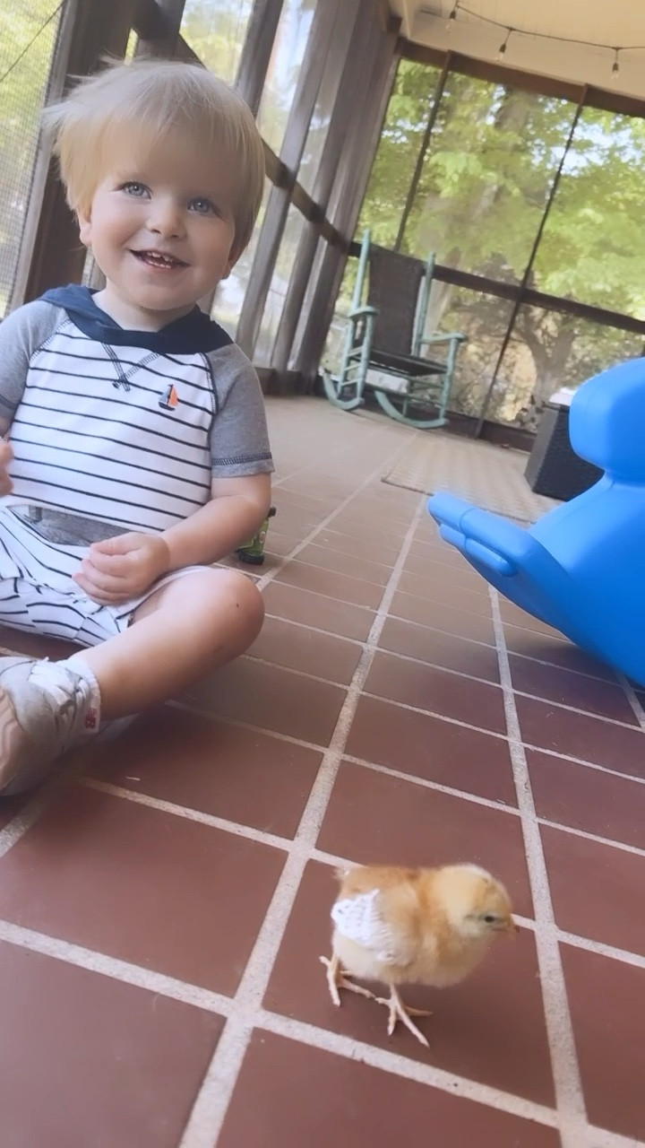 loving our slow and simple country days around here…🌾 nothing sweeter than my baby boy with 
his baby chickadees 🐥🫶🏽🐣
#judsonandhischickadees

#LTKfamily #LTKbaby #LTKhome