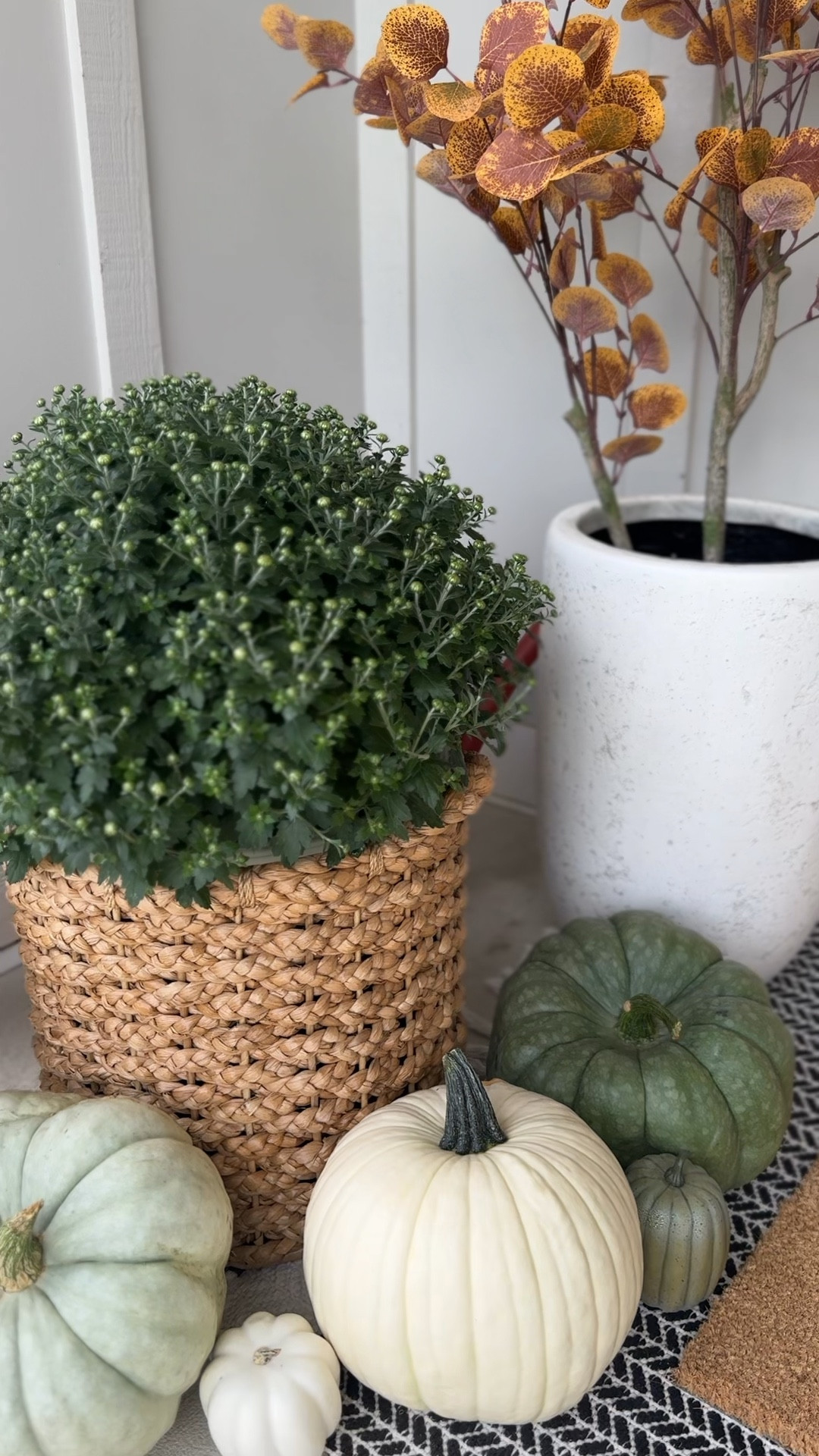 Fall Front Porch Decor 

Fall decor, outdoor porch, porch decor, fall porch, fall styling, fall outdoor, outdoor planter, outdoor faux tree 

#LTKVideo #LTKHome #LTKFallSale