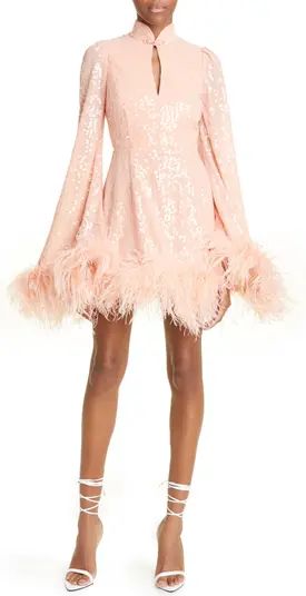 Bianca Sequin Feather Trim Long Sleeve Dress | Nordstrom