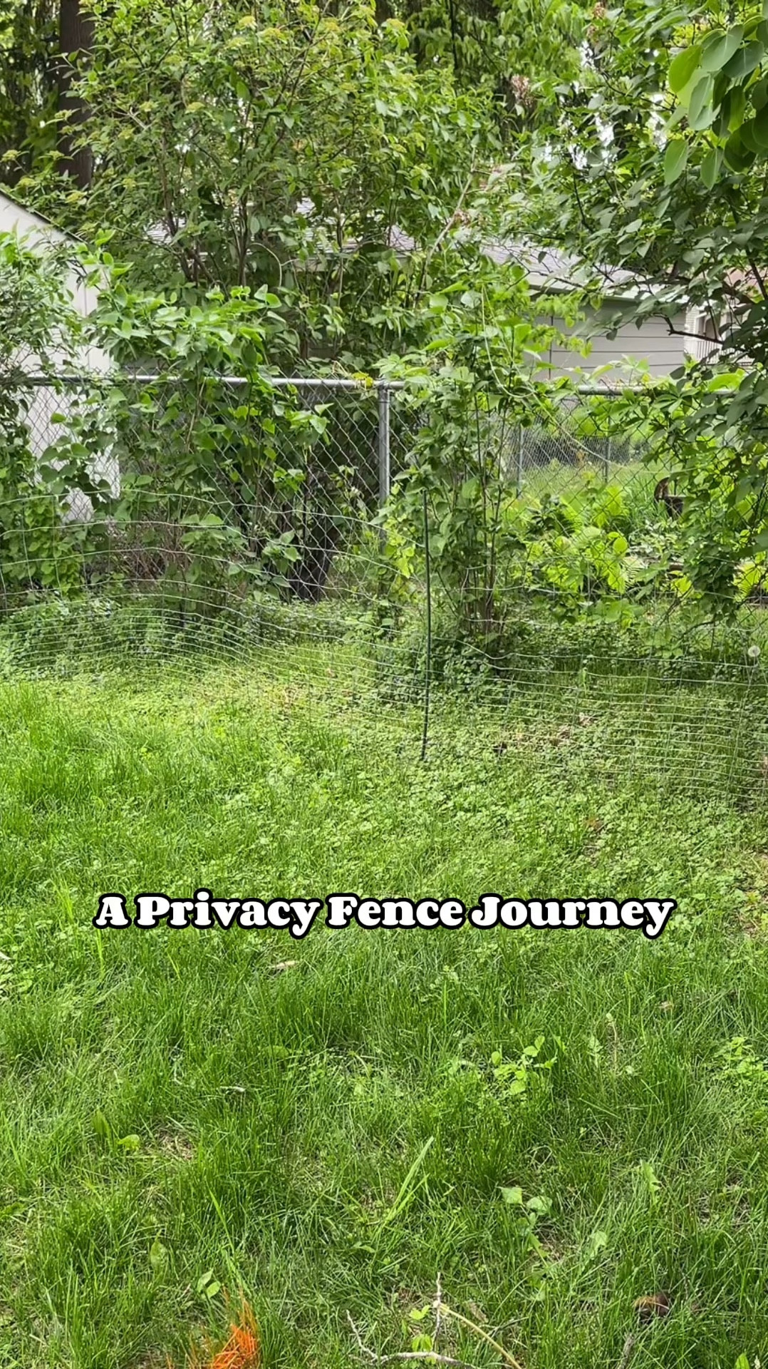 ✨Have you ever done a massive landscaping overhaul? Tell me about it in the comments! 

I literally lost sleep trying to figure out what to do/how to save these big bushes. 

I tried to come up with every solution to save them but ultimately removing the bulk of them was the most cost-efficient and reasonable decision. 

Disclaimer: I’m not an expert at anything landscaping but I am on a *landscaping journey* AND I knew to call before you dig. The property is marked so I knew where to dig without hitting lines. ✨Friendly reminder to call before you dig!✨

I’m sure the root ball on these was much deeper than what I pulled out but I’m going to attempt to transplant the ones I saved. 

💜I also have a plan to deal with the creeping Charlie but I haven’t done anything yet because I don’t know what the fence will bring/I’d rather do it all at once. 

The dogs were so patient while I was getting these out and they definitely got a lot of playtime after I was done. 

#thejourneysofjade #landscaping #privacyfence #lilacs

#LTKVideo #LTKSeasonal #LTKHome