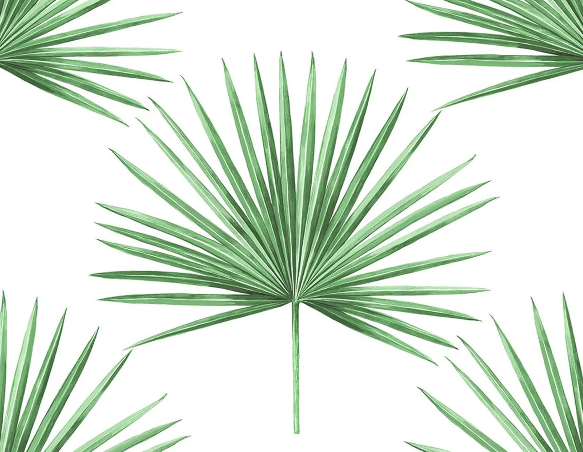Seabrook Pacific Palm Greenery Wallpaper | DecoratorsBest