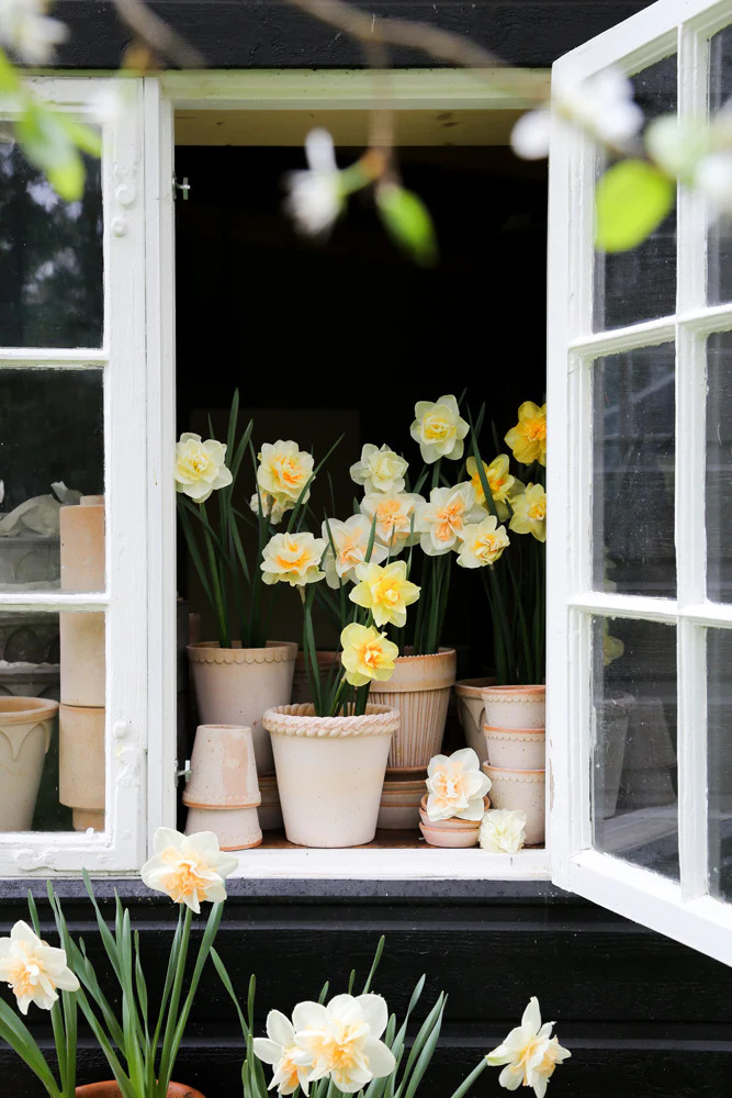 Emilia Pot | Cottage and Key