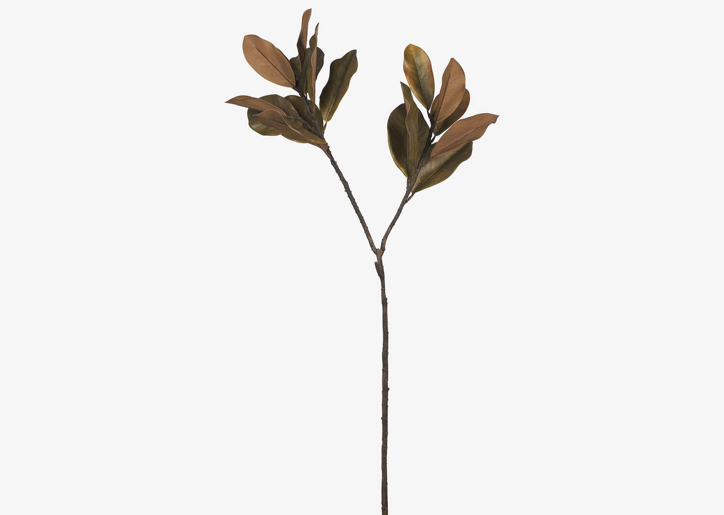Bruno Magnolia Branch Brown | Urban Barn