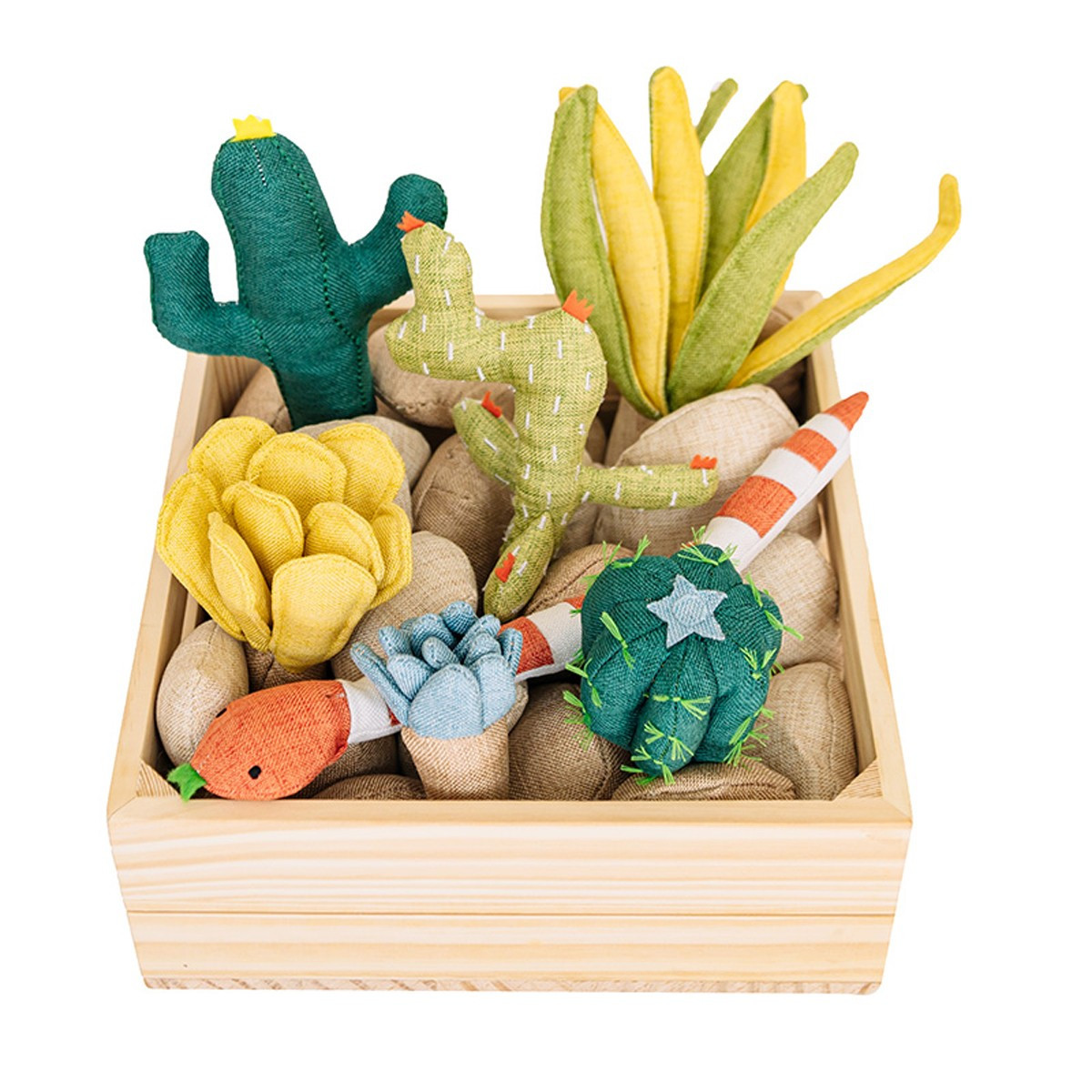 Wonder & Wise Succulent Garden | The Tot