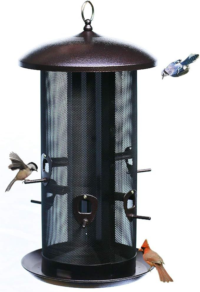 Nature's Rhythm Metal Hopper Bird Feeder Two Chambers，Heavy Duty Mesh Metal Dual Seed Compartme... | Amazon (US)