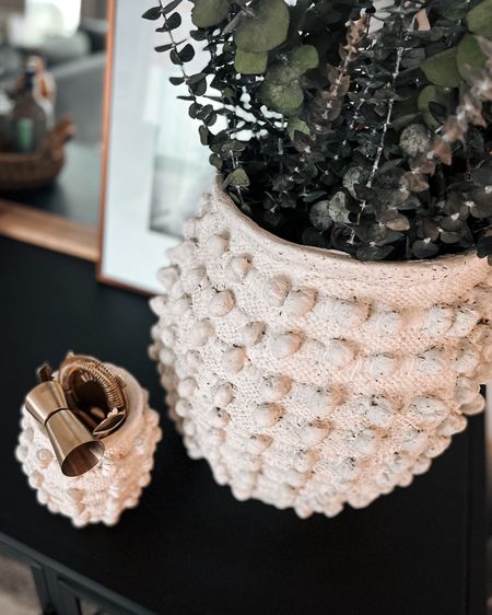 New Anthropologie Minka textured pot vase styles available!

#LTKhome #LTKSeasonal