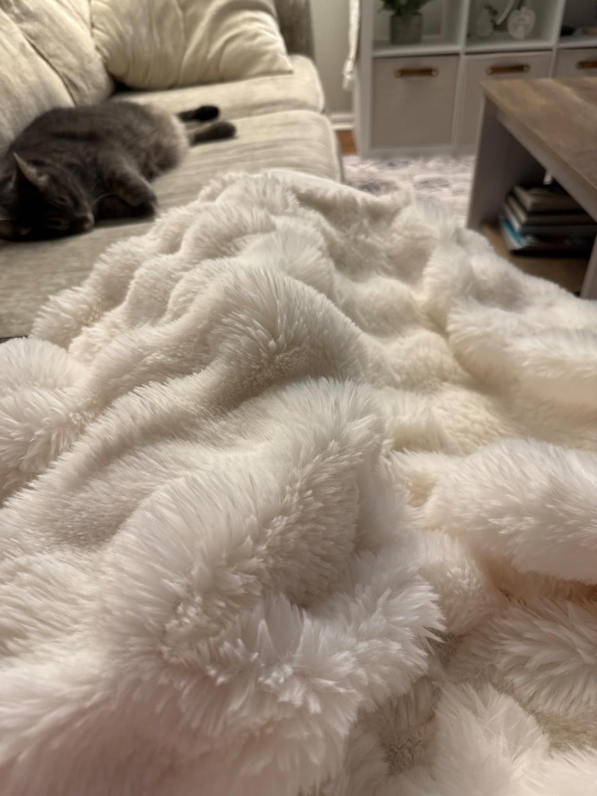 Lotus Karen Queen Size Faux Fur Blanket Black - Big Bubble Rabbit Fluff Blanket for Bed, Large Fl... | Amazon (US)