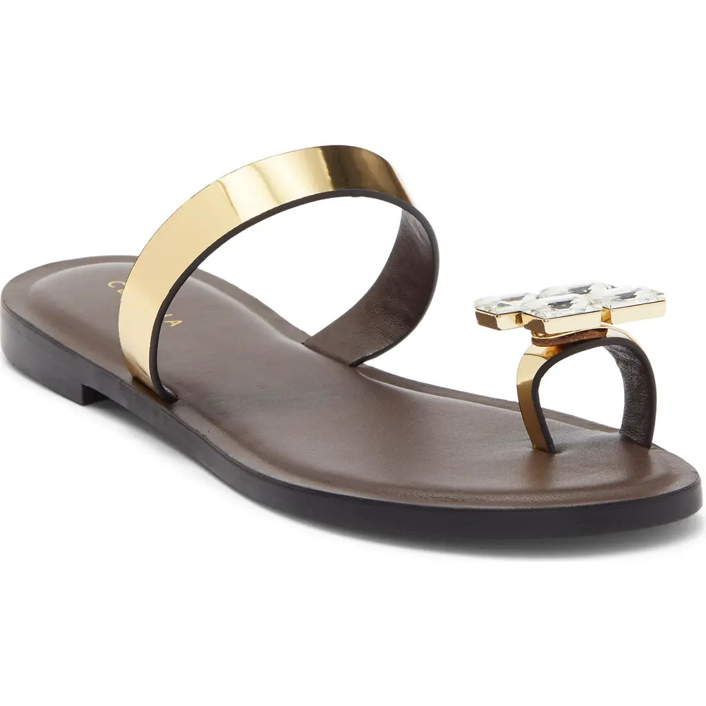 Cecelia New York Demi Toe Loop Sandal in Dark Brown/gold at Nordstrom, Size 10 | Nordstrom