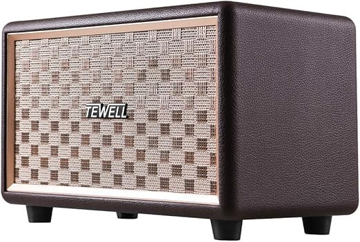 TEWELL Vintage Speakers, Bass Enhanced Technology, Retro Speakers Plug-in Speakers for PC, Laptop... | Amazon (US)