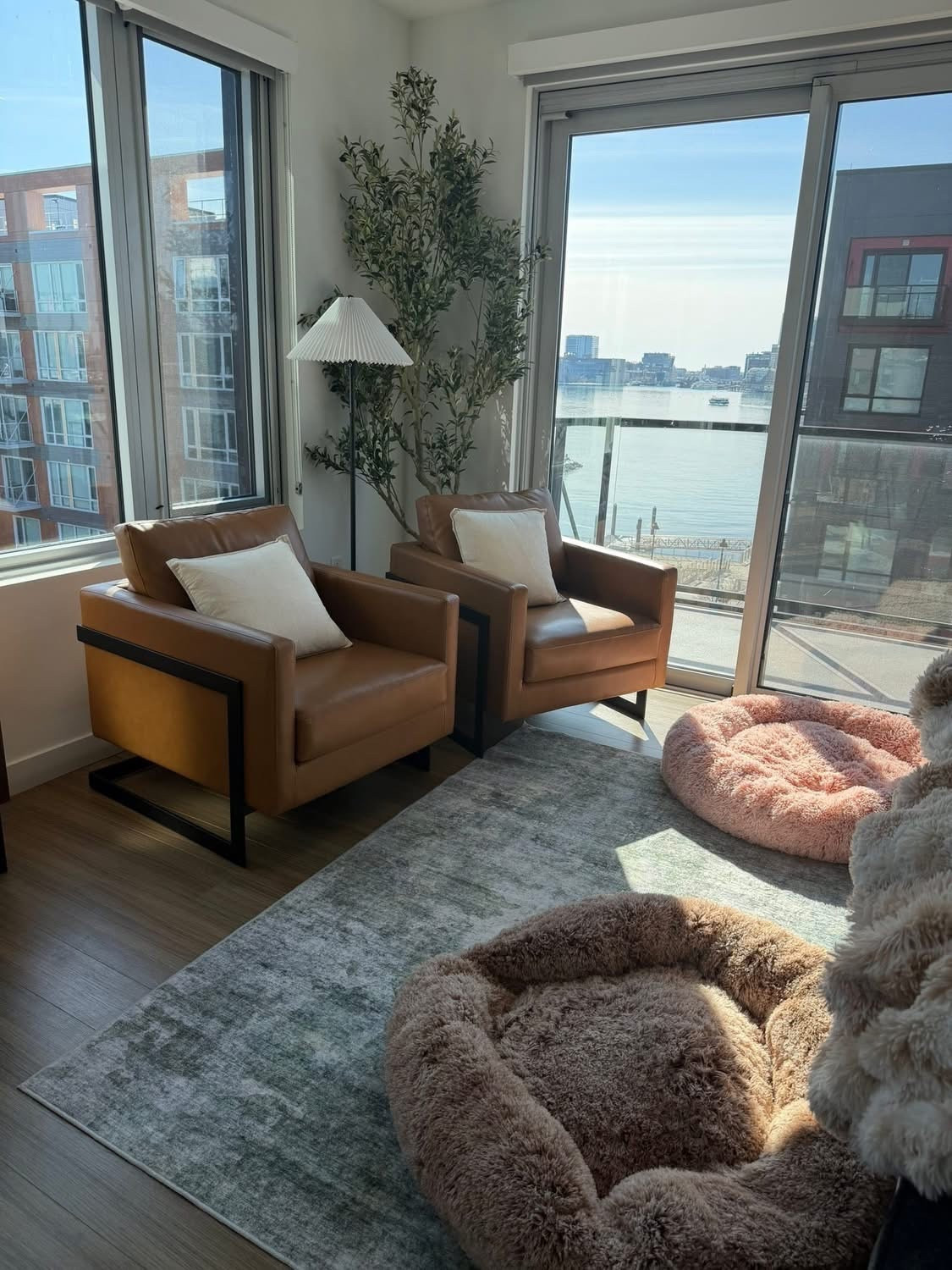 Found the most inexpensive cozy finds for our Boston apartment! 