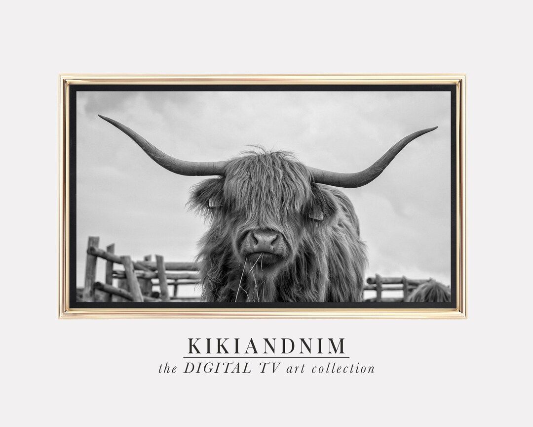 samsung frame tv art farmhouse | highland cow samsung art tv | bull frame tv art | tv art | digit... | Etsy (US)