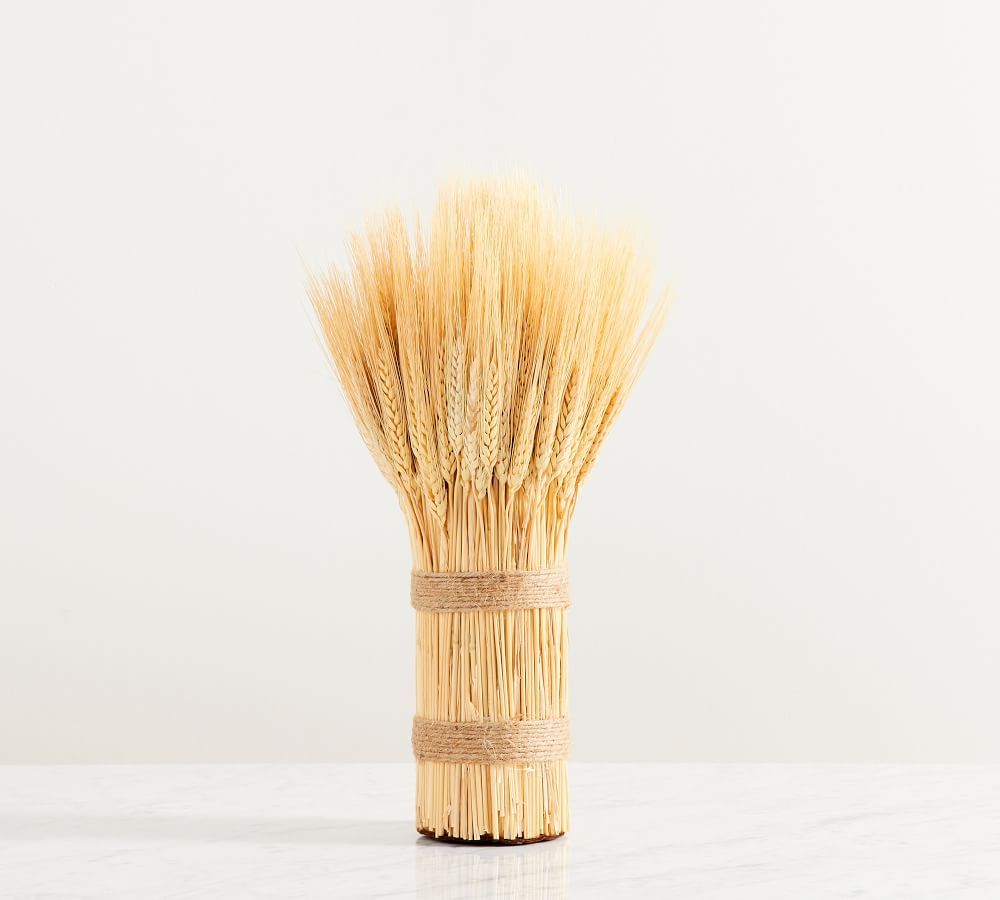 Dried Standing Wheat Bundle | Pottery Barn (US)