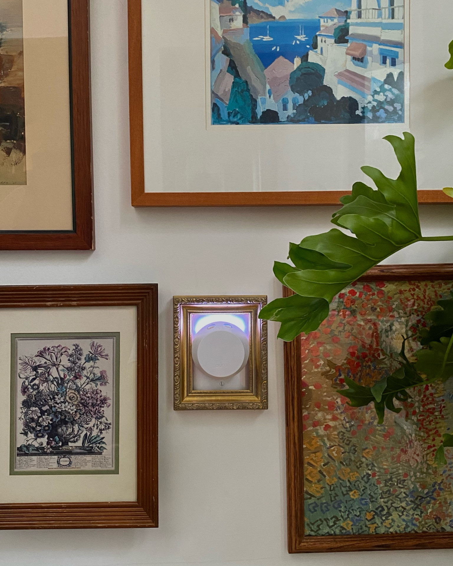 fall pura scents 🤎🍂