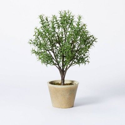Rosemary Topiary - Threshold™ designed with Studio McGee | Target