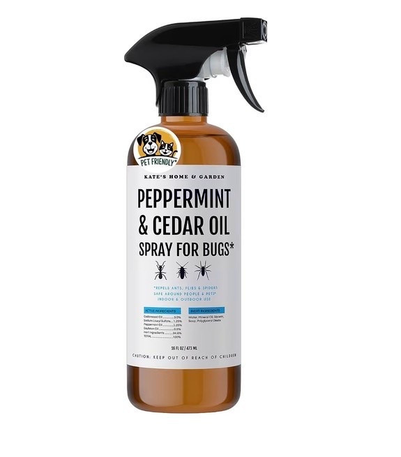 I found a safer clean version of bug spray for my house and I like it!

#LTKHome