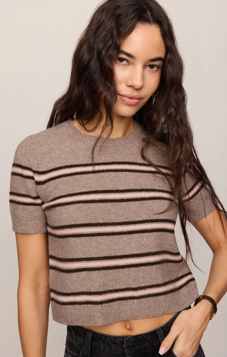 Gatewood Stripe Sweater Tee | Z Supply