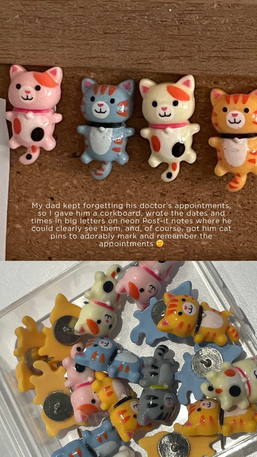 a corkboard has many uses. it can be for a vision board, photo memory board, pin collection board, or a board to remind your parents to stop missing their appointments! this is some of my fave amazon home finds for organization and reminders. how cute are these cat pins?! 🐱 i also tagged the neon post it notes i use to remind said parents of their appointments, and my favourite sharpie pens called s-gel that are so smooth to write with. i have them everywhere. 
 

 #LTKHome #LTKFindsUnder50 #LTKFamily