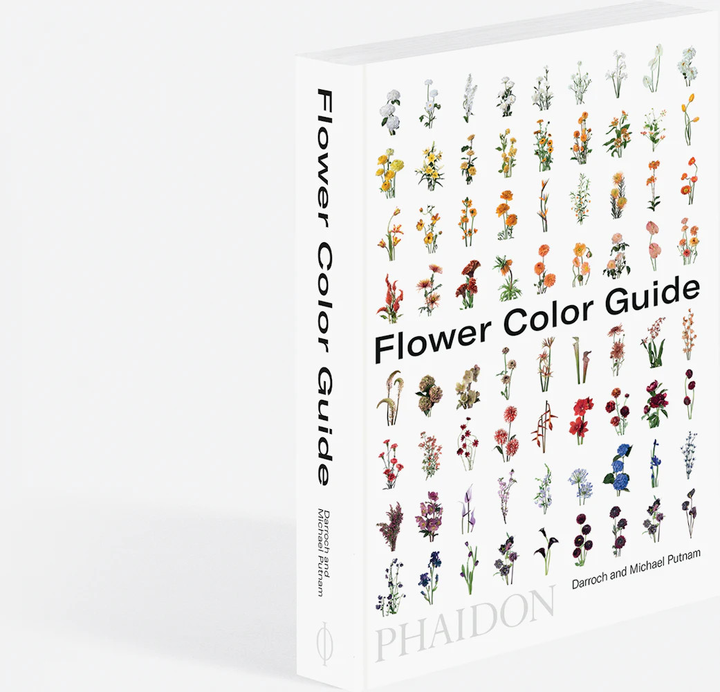 Flower Color Guide | Design Within Reach