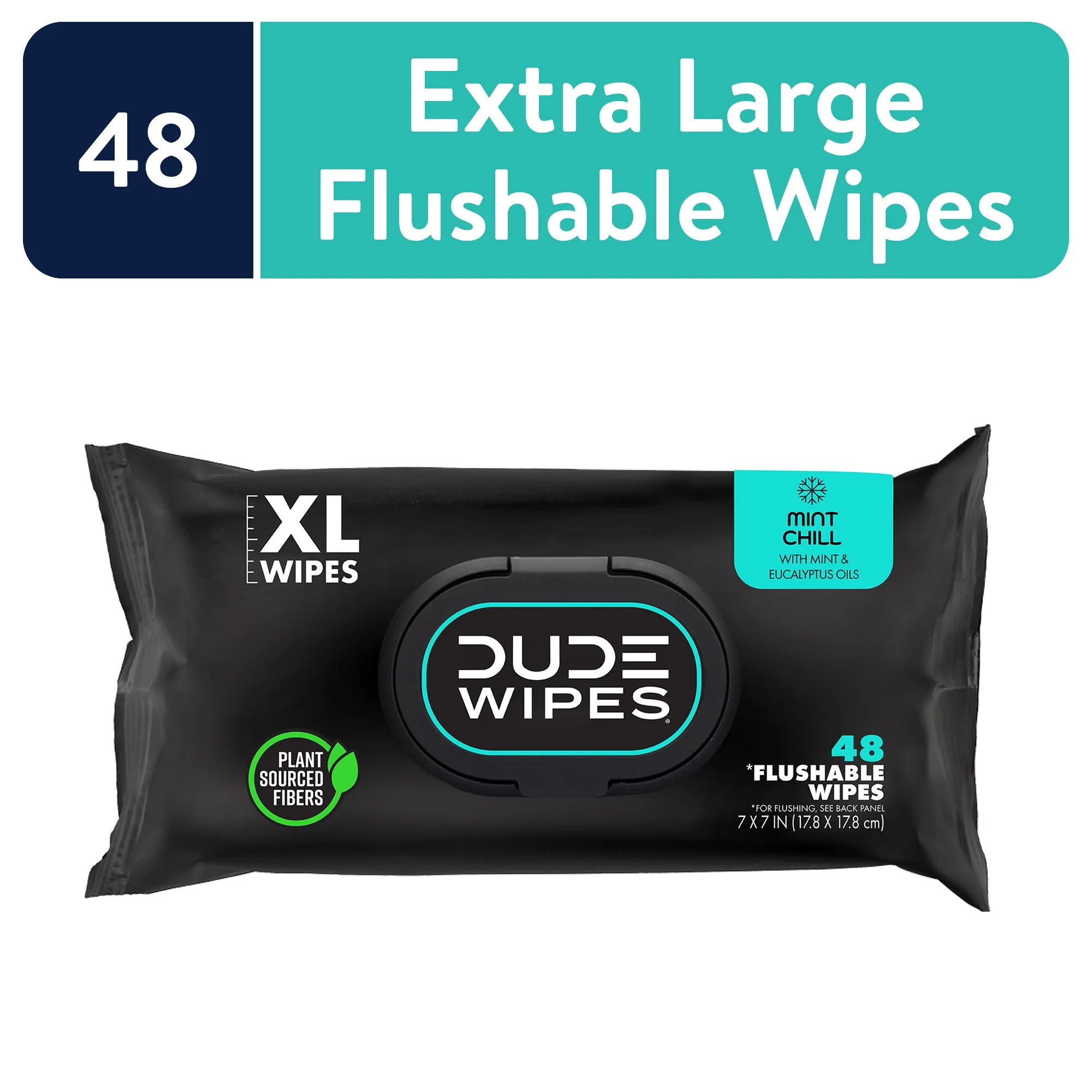 DUDE Flushable Wipes for Men, Mint Chill, 48 Count | Walmart (US)