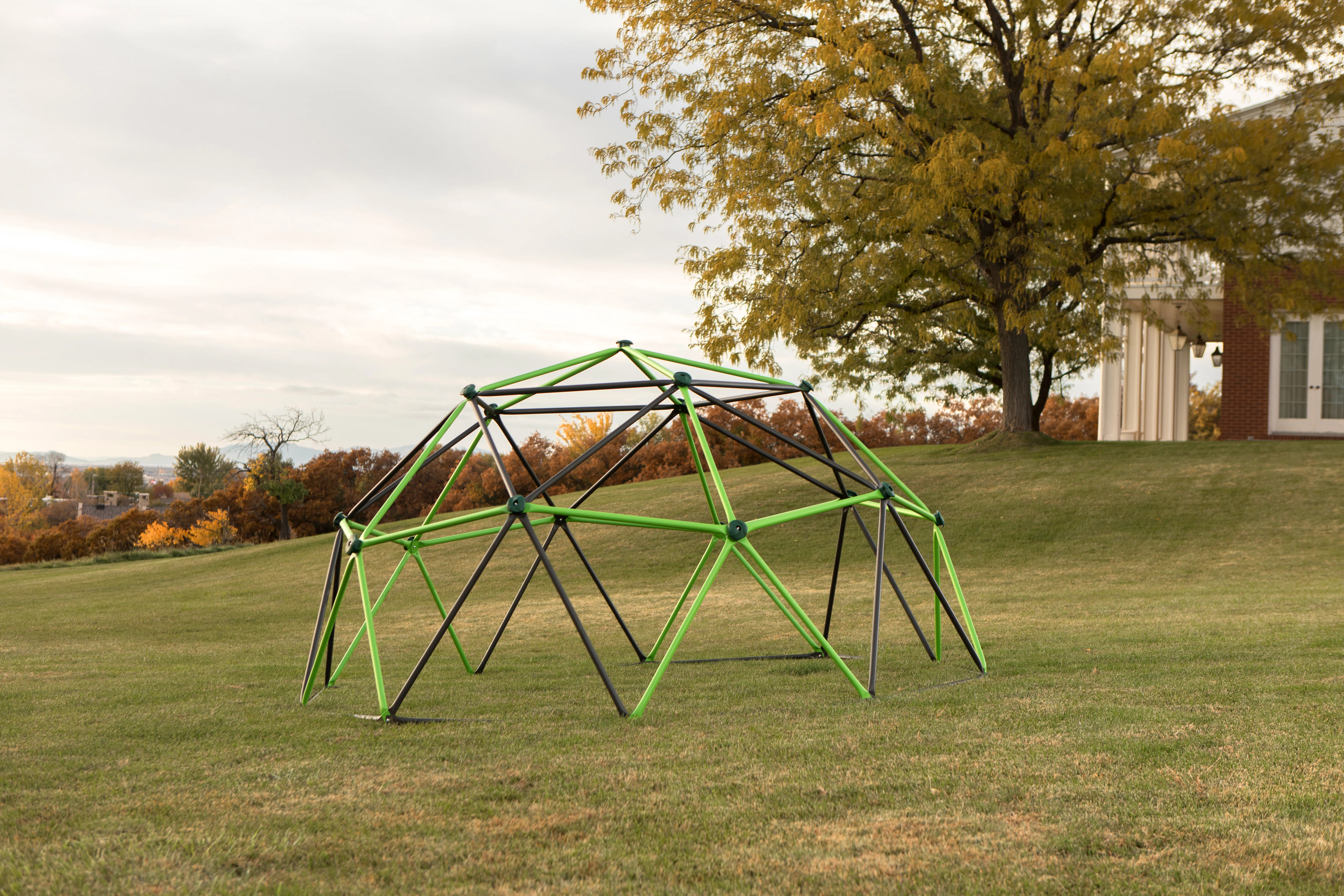 Lifetime 11'' W Climbing Dome | Wayfair North America