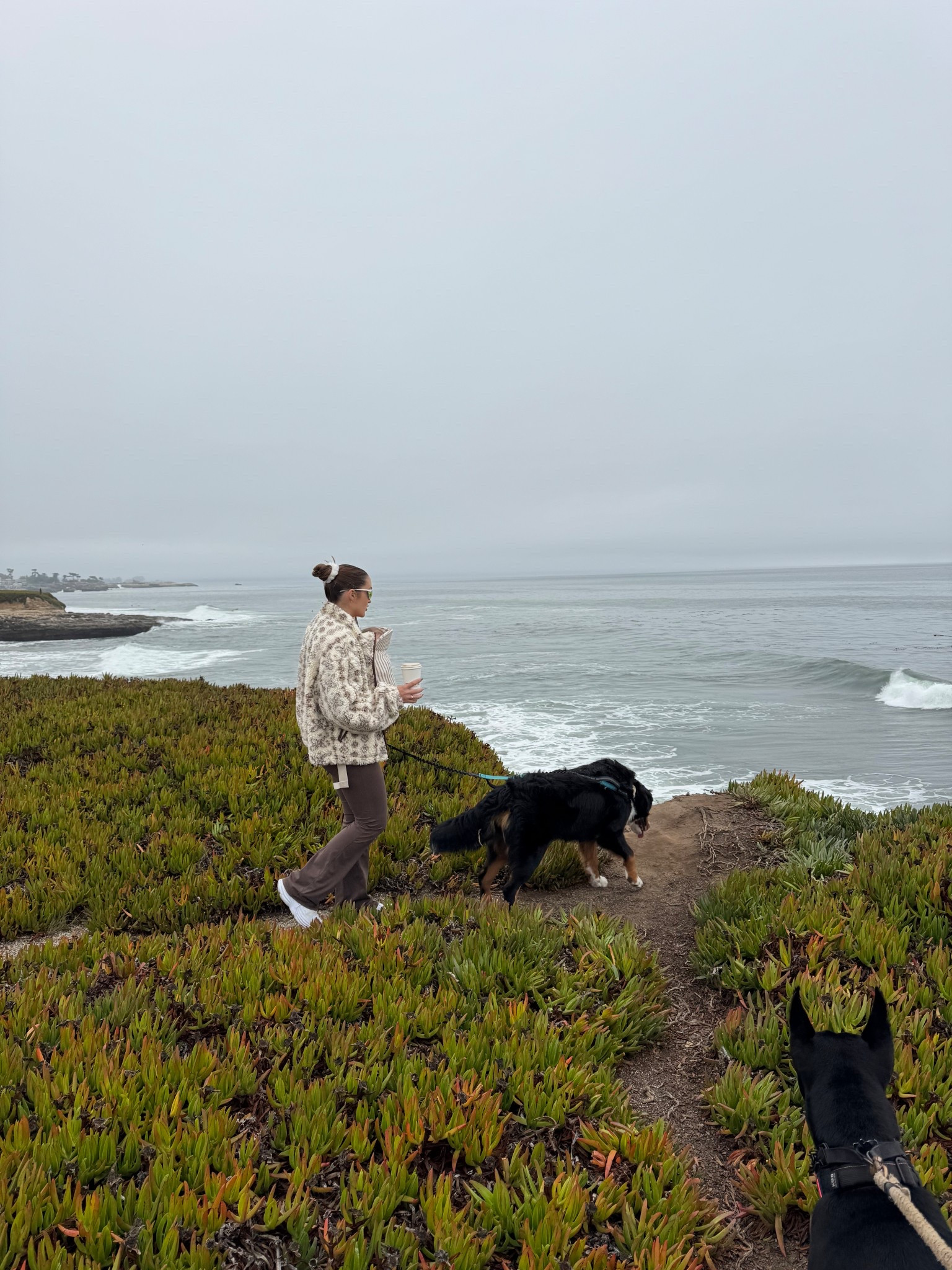 Gloomy walks on the coast 