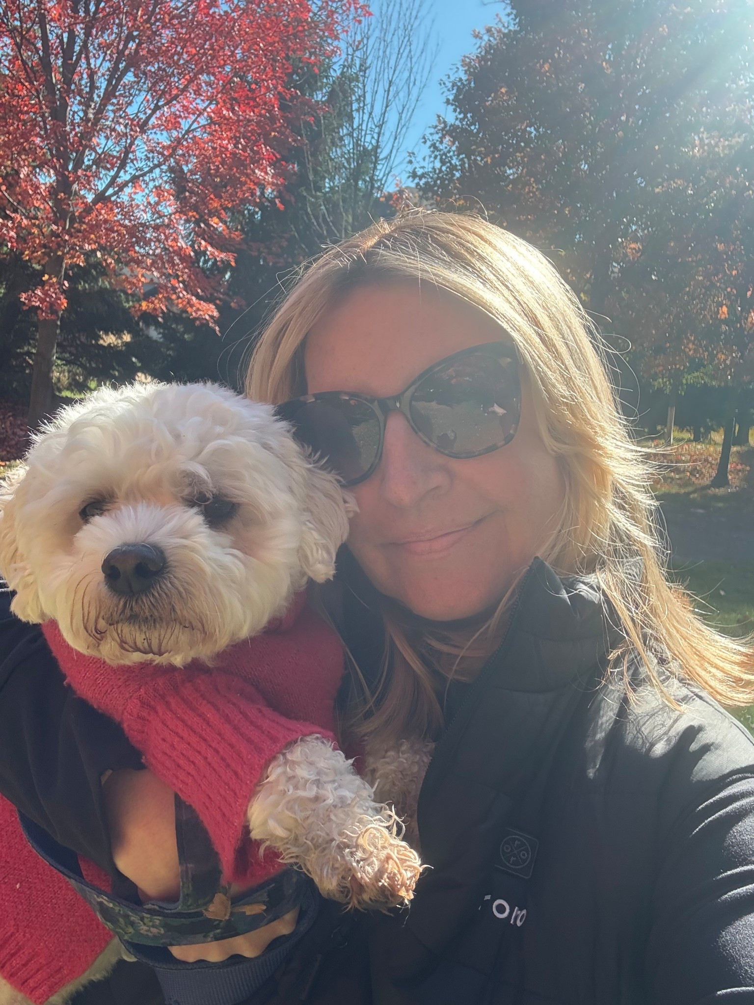 I love sunny + chilly crisp October walks with my dog. I wear my heated Ororo vest and I stay nice and warm! 
We went to a haunted trail in the neighborhood last night, and it was also perfect! 

#LTKStyleTip #LTKSeasonal