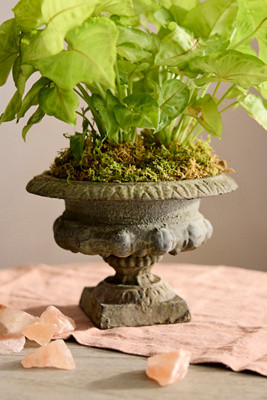 Mini Cast Iron Urn Planter | Terrain