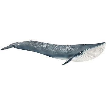 Schleich Wild Life Realistic Blue Whale Figurine - Authentic and Highly Detailed Aquatic Animal T... | Amazon (US)