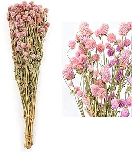 MIHUAGE Dried Flower White Globe Amaranth Dry Flower Bundles 100% Naturally for Home Decor Party ... | Amazon (US)