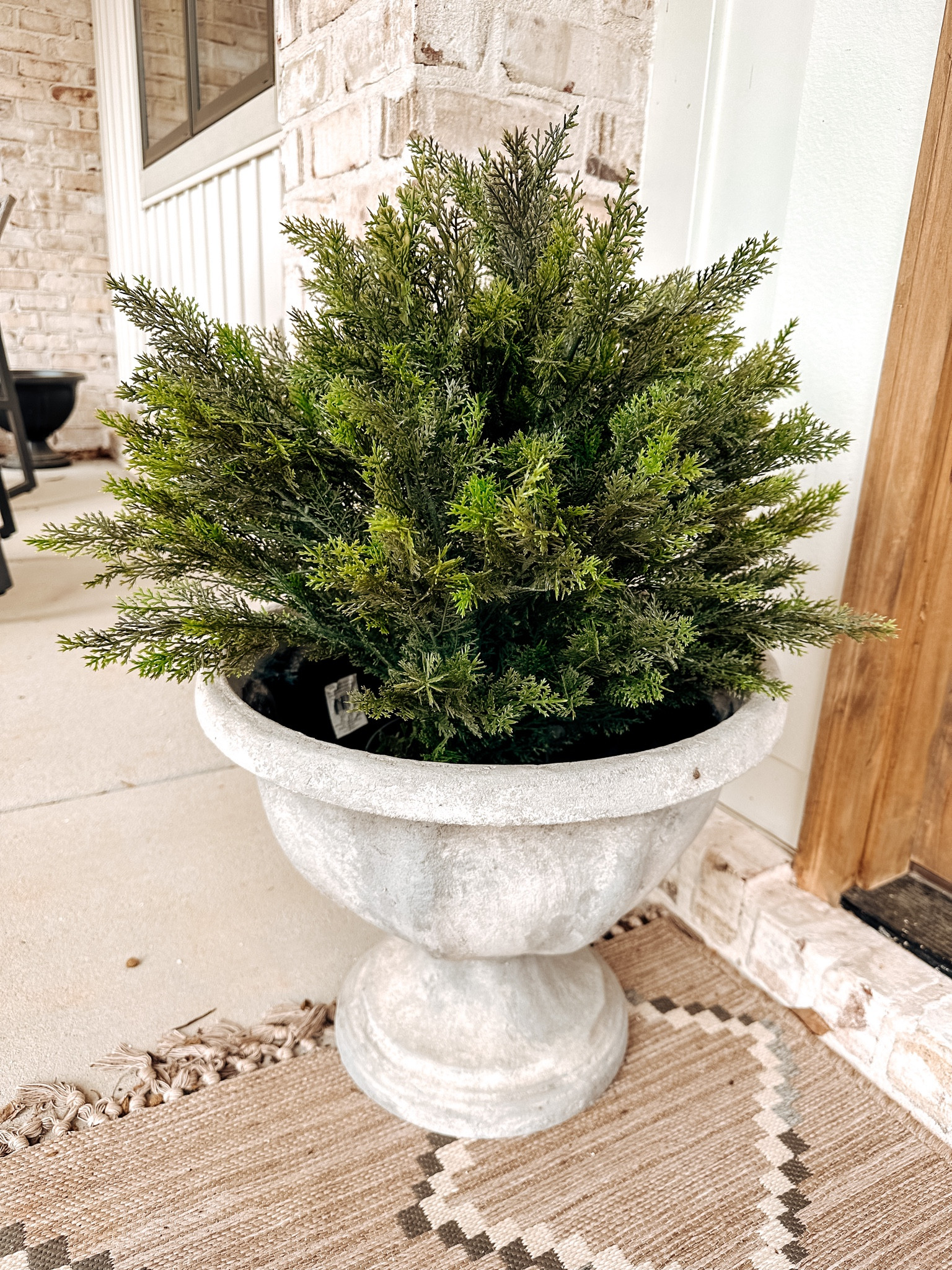I have a secret - FAUX PLANTS! Yep, I can’t keep anything alive on my porch so when I found this super realistic faux evergreen I was SOLD! I beat the summer heat with this beauty! 

#LTKStyleTip #LTKHome #LTKSeasonal