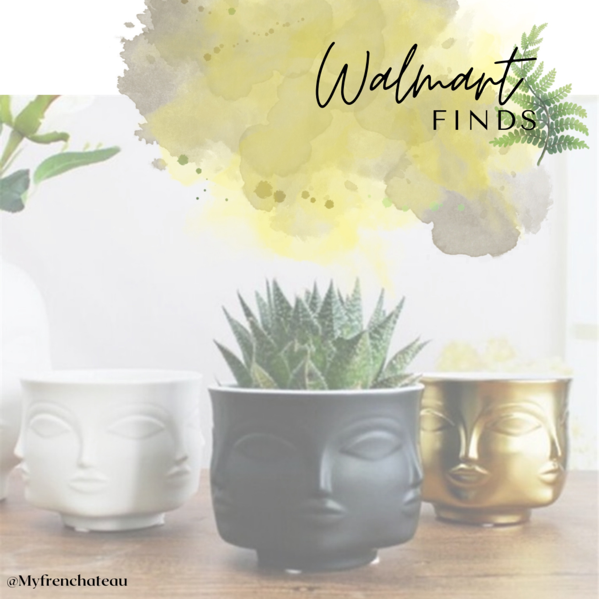 Succulents in unique vases and you won’t believe the cost! You can buy real or faux succulents for these pots and add a fun element to your space! 

#potterybarn #decor #homedecor #design #homedesign #interior #interiordesign #decorinspo #interiorinspo #coffeetabledecor #modern #moderndesign #wayfair #salealert #wayfairdeals #neutral #neutraldesign #neutraldecor #walmart #walmartfinds #simpledecor #minimalist #succulents #plantar #plants

#LTKFind #LTKhome #LTKunder50