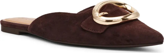 Steve Madden Ira Pointed Toe Mule (Women) | Nordstrom | Nordstrom