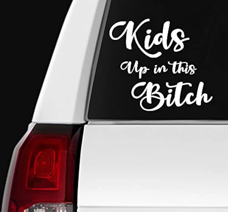 – Kids Up in The Bitch Stickers–Vinyl Decal for Car, Van and Helmet–Indoor & Outdoor use fo... | Amazon (US)