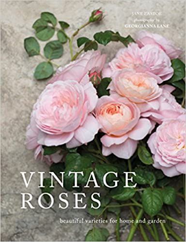 Vintage Roses: Beautiful Varieties for Home and Garden | Amazon (US)