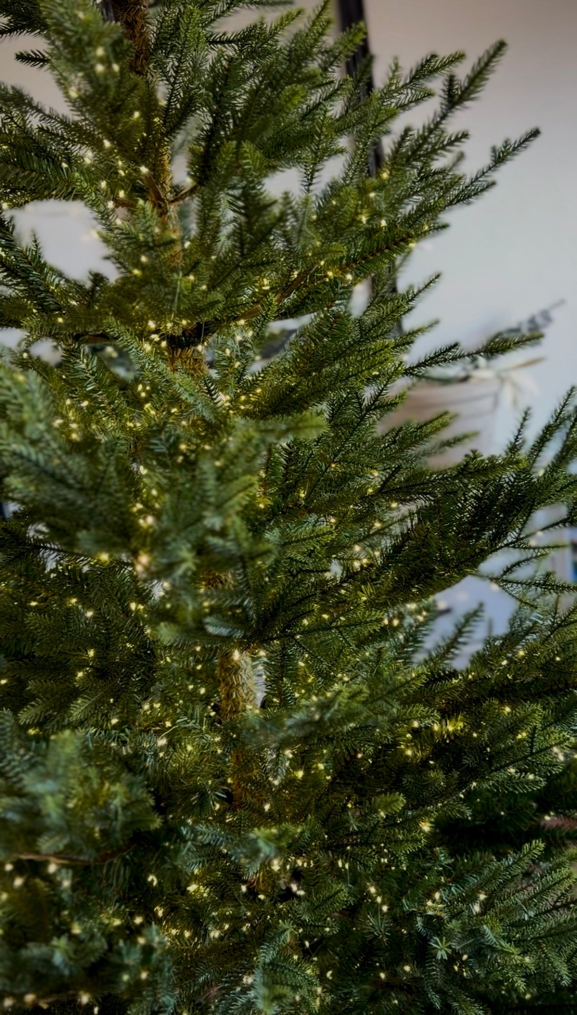 A closeup of the branches on the stunning and viral Norway Spruce Christmas tree. This is honestly the most magical holiday accessory of the season, and it always sells out. Hence why I’m telling you about it now and not a few months later. 🖖🏾

The lit versions from McGee and Co and Anthropologie are in stock currently and insanely beautiful. There are a ton of lights on each, like super dense and sparkly vibes. If you want to customize your lighting like I do, your best bet is the Norway unlit that only comes from Anthro. It only comes in one height right now, but hopefully more are coming. 

In any case…if you dream of an earthy, natural and whimsical Christmas tree, this one is it!

#LTKstorytime #LTKHome #LTKSeasonal