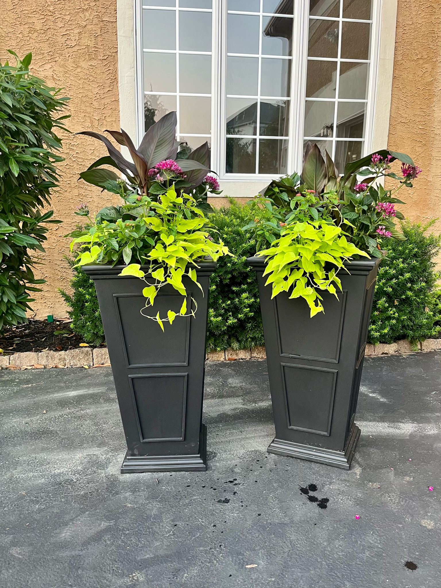 Last year, I bought the arrangement that looked cute and just transplanted it here. This year, I'm thinking I'll try to arrange my own! Love these 22" self-watering planters from wayfair. Absolutely worth the price. 

Home, home decor, garden, plants, front door, vines, lilies, found it on wayfair 



#LTKHome #LTKMidsize #LTKFindsUnder100