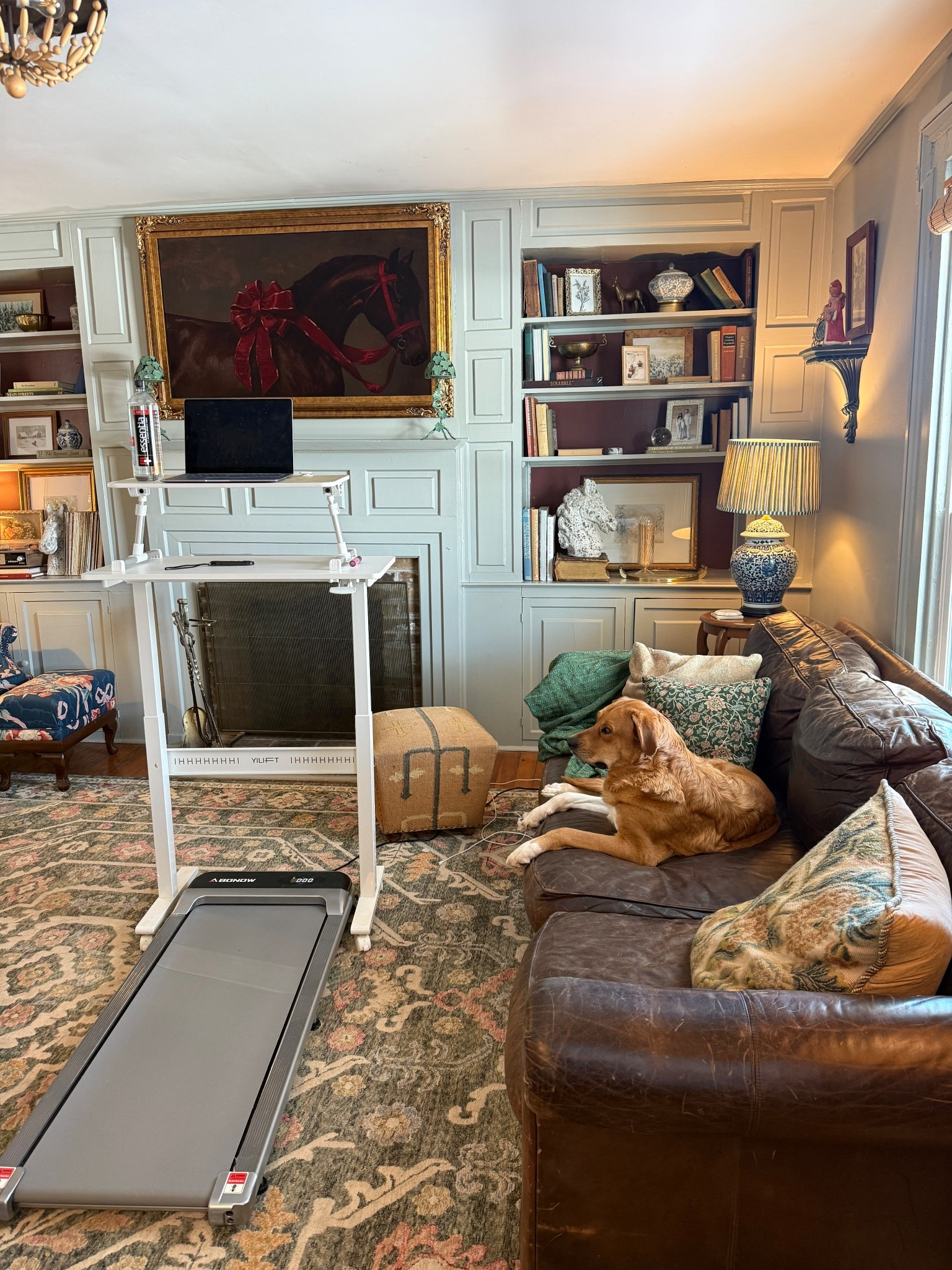 Work from home walking desk set up 