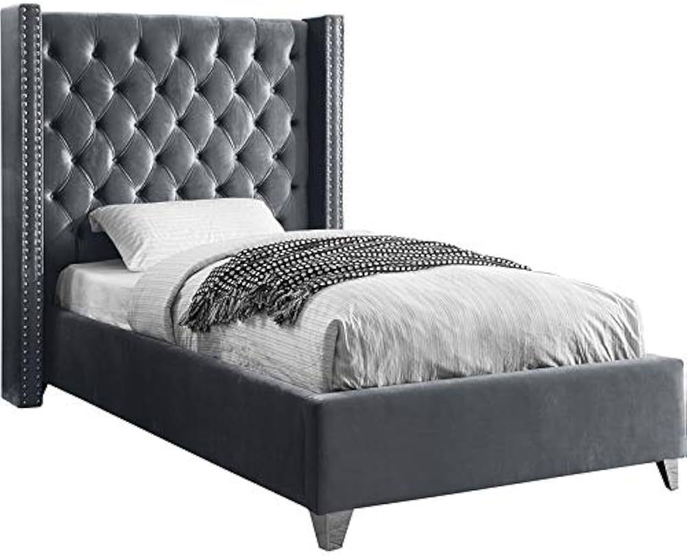 Meridian Furniture Aiden Collection Modern | Contemporary Velvet Upholstered Bed with Deep Button... | Amazon (US)
