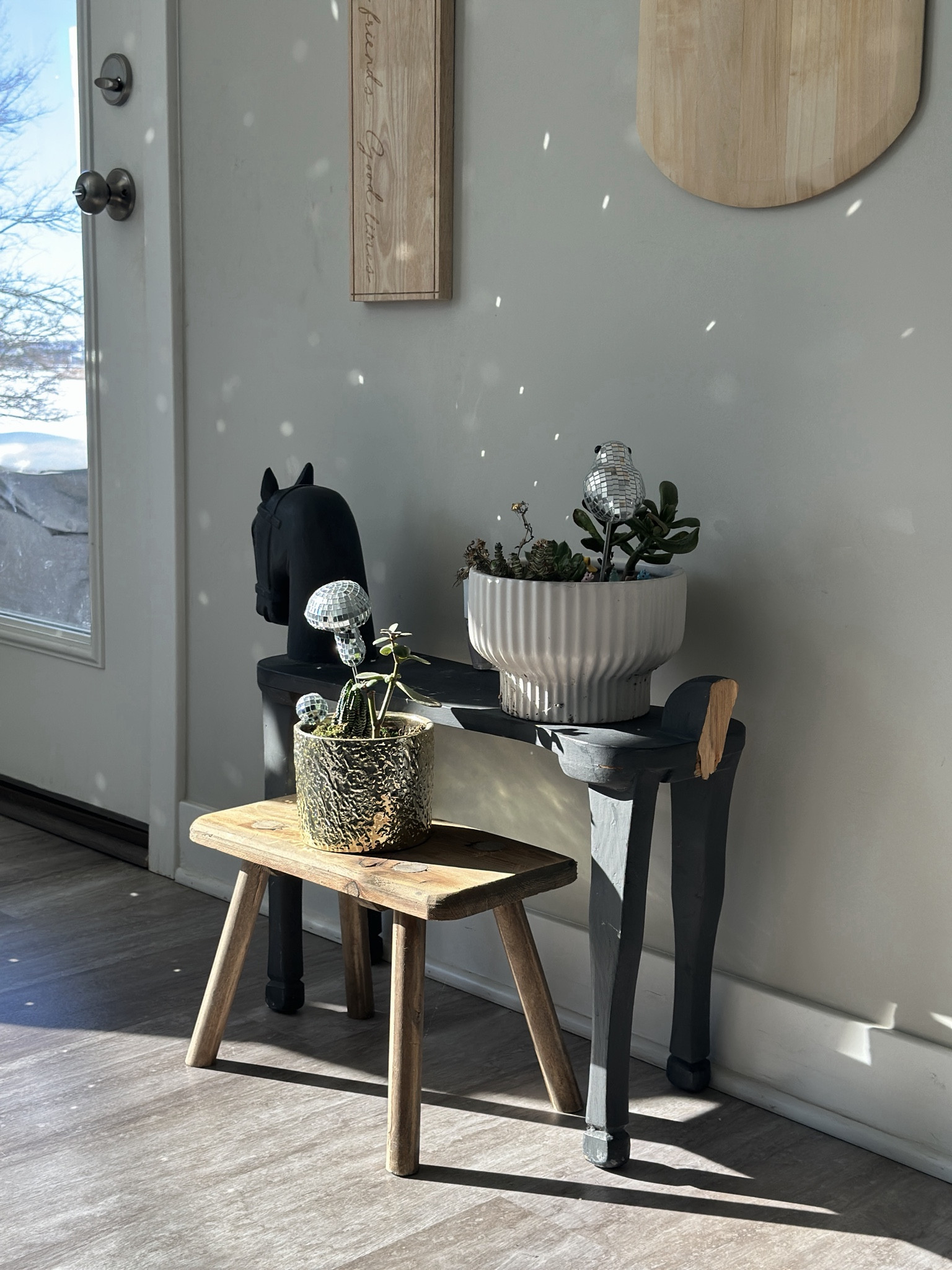 Planters!!  And disco!
#wintergoaway #indoorgardening #houseplants #pots #planters 

#LTKSeasonal #LTKdayinmylife #LTKHome