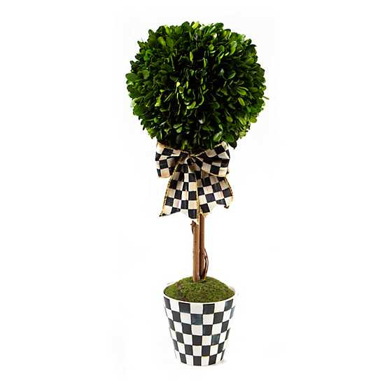 Courtly Boxwood Topiary Drop In - Small | MacKenzie-Childs
