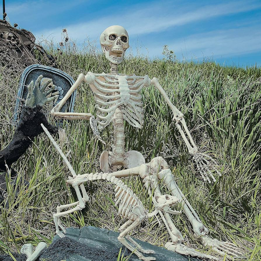 Fun Express life size skeleton - Spook up your yard with a life-size 5 foot skeleton poseable, Ea... | Amazon (US)