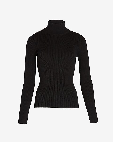 Fitted Ribbed Turtleneck Sweater | Express