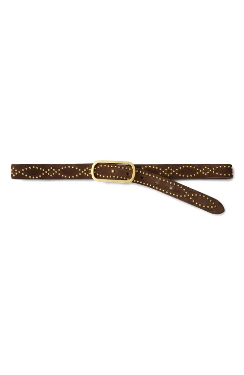 Veronica Beard Studded Leather Belt in Espresso at Nordstrom, Size Medium | Nordstrom