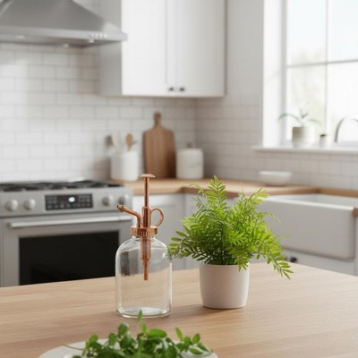 The Lakeside Collection Glass Plant Mister - | Target