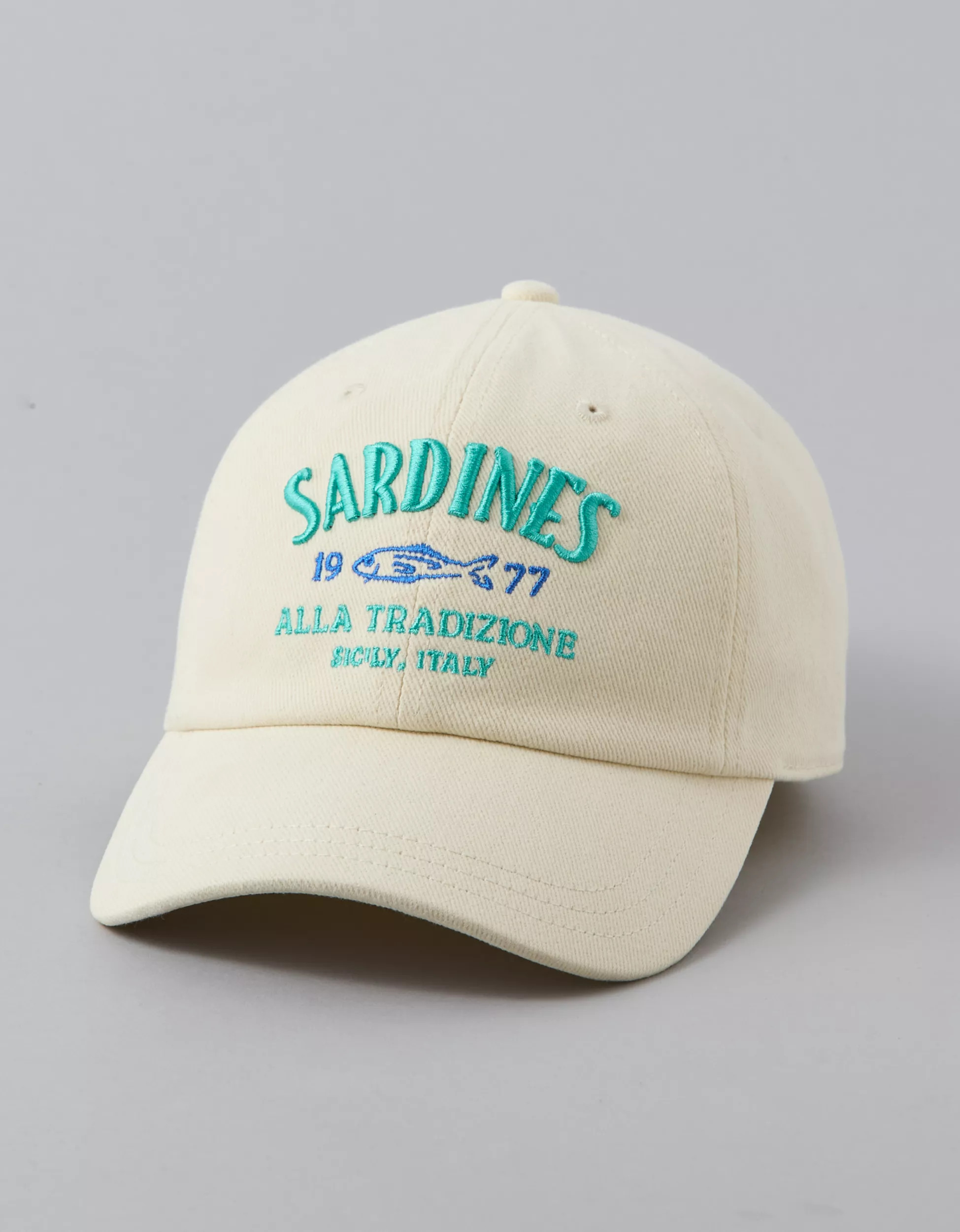 AE Graphic Baseball Hat | American Eagle Outfitters (US & CA)