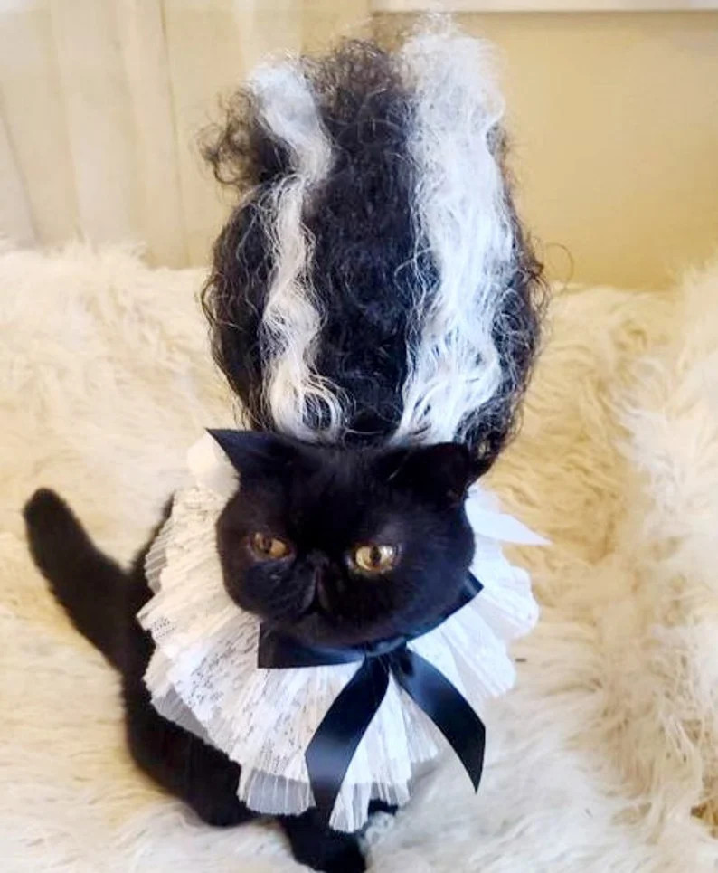 Frankenstein Wig for Pets / Frankenstein Dog Wig / Cute White - Etsy | Etsy (US)