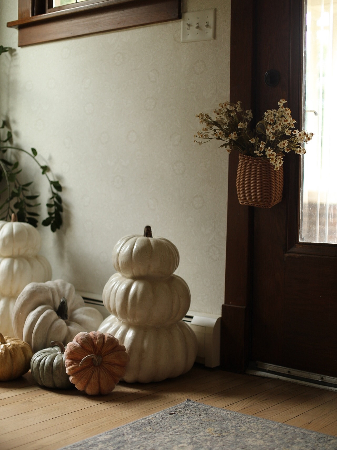 Comment SHOP if you’re ready to see the pumpkins that will finally outsmart the squirrels this year. 🐿️🎃

Every fall I splurge on real pumpkins…only to watch them get destroyed (or rot before Halloween). This year, I decided to invest in heirloom-inspired faux pumpkins instead—timeless shapes, muted colors, and a style I can reuse for years. 🍂✨

From stacked whites to soft sages and dusty peach tones, these pieces bring that “fresh from the patch” charm without the mess (or the annual price tag).

🖤 Want to shop the exact ones I picked? You can comment SHOP below OR go to the blog….all the links are waiting for you there! [link in bio]

Do you still go all-in on real pumpkins, or are you tempted to make the switch to faux too?

Stay tuned to the full porch reveal coming soon!

Follow @kindredhomestead for more Home Design | Antique Finds \ Real Life \ LTK \ Amazon & more…

#kindredhomestead #khathome #khinteriors #kindredinteriors #khinteriordesign

-

fall home décor ideas | cozy fall décor | farmhouse fall decorating | simple fall decorating tips | best faux pumpkins for fall | autumn decorating inspiration | fall entryway décor | chic fall porch décor | cozy home decorating ideas | neutral fall styling | autumn home accents | classic fall decorating | traditional fall décor inspiration | fall table centerpiece ideas | fall living room décor

https://liketk.it/5mVyh