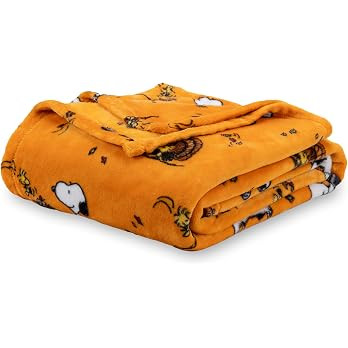 Berkshire Blanket Peanuts® VelvetLoft® Cute Character Snoopy Plush Blanket,Snoopy and Woodstock... | Amazon (US)